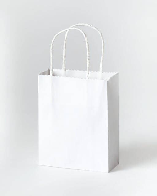 Folia Paper Papieren zakjes met handvat 110g mÂ² 120x150x55mm kraft wit set Ã  20 stuks