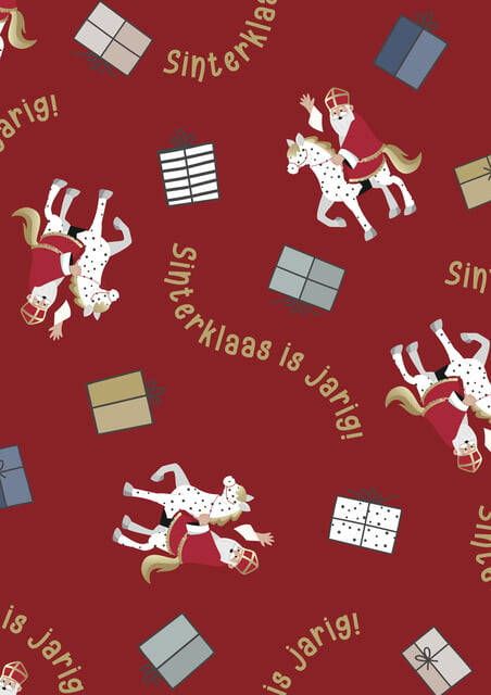 Haza Inpakpapier Sint en Co 200x70cm assorti
