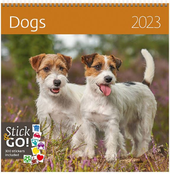 Helma 365 Kalender 2023 30x30cm Honden