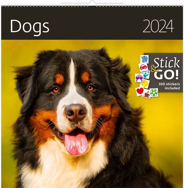 Helma 365 Kalender 2026 30x30cm honden - Foto 2