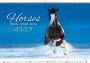 Helma 365 Kalender 2023 45x31.5cm Paarden - Thumbnail 3