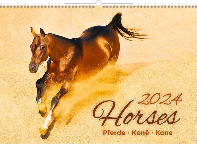 Helma 365 Kalender 2023 45x31.5cm Paarden