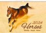 Helma 365 Kalender 2023 45x31.5cm Paarden - Thumbnail 2