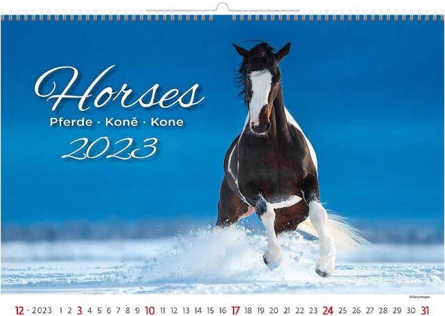 Helma 365 Kalender 2023 45x31.5cm Paarden