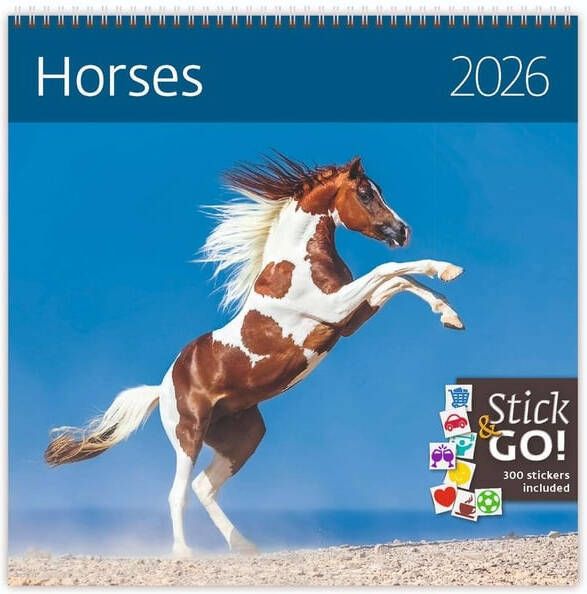 Helma 365 Kalender 2026 30x30cm paarden