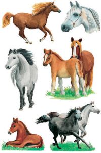 HERMA Etiket 3553 paarden rassen