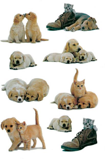 Herma Stickers hondenwelpen