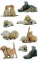 Herma Stickers hondenwelpen - Thumbnail 2
