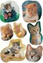 HERMA Etiket 5747 katten - Thumbnail 1