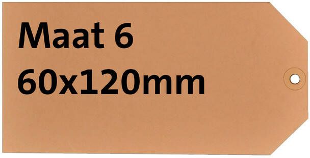 HF2 Label karton nr6 200gr 60x120mm chamois 1000stuks