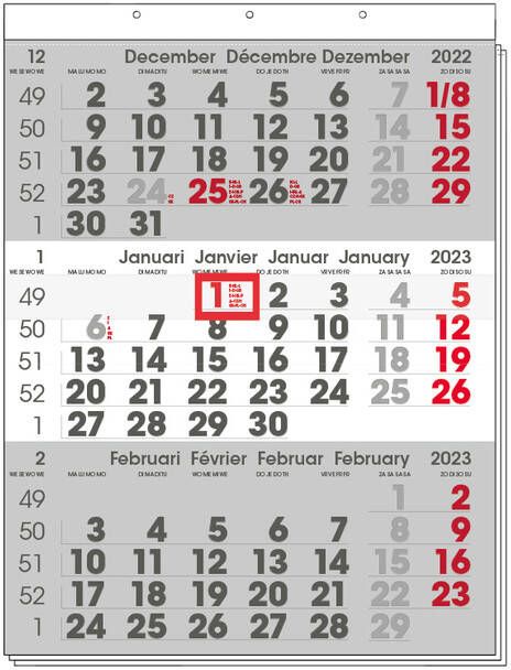 INNI 3-Maandkalender 2023 Manager compact-formaat