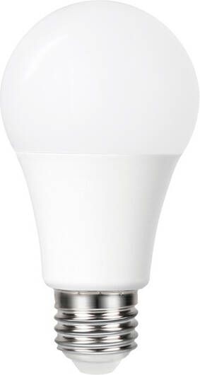 Integral Ledlamp E27 5000K koel wit 4.8W 470lumen dag nacht sensor