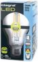 Integral Classic Globe LED lamp E27 dimbaar 2.700 K 7 3 W 806 lumen - Thumbnail 3