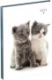 Lannoo Agenda 2023 110x150 My Favourite Friends 7dagen 2pagina's 2 kittens - Thumbnail 2