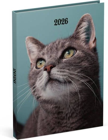 Lannoo Agenda 2026 110x150 My favourite friends 7dagen 2pagina's cats