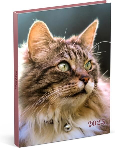 Lannoo Agenda 2025 My Favourite Friends 7dagen 2pagina's