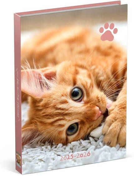 Lannoo Schoolagenda 25-26 Cats 1dag 1pagina roze