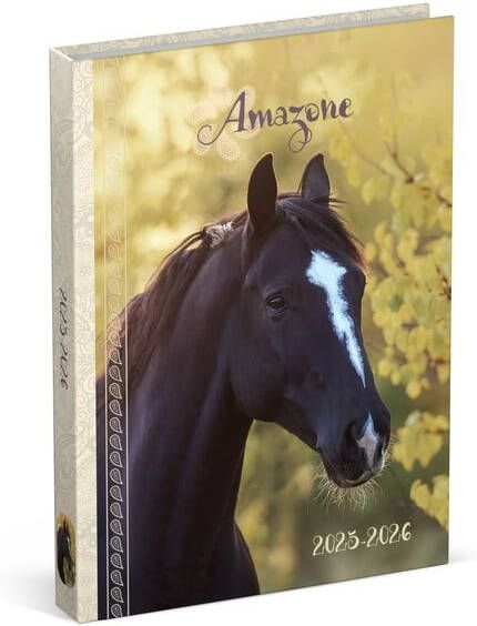 Lannoo Schoolagenda 25-26 Horses 1dag 1pagina geel