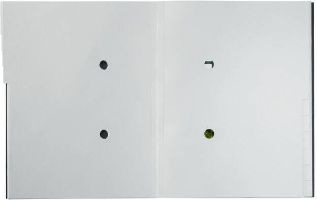 Leitz Recycle sorteermap karton ft A4 12 tabs zwart - Foto 2