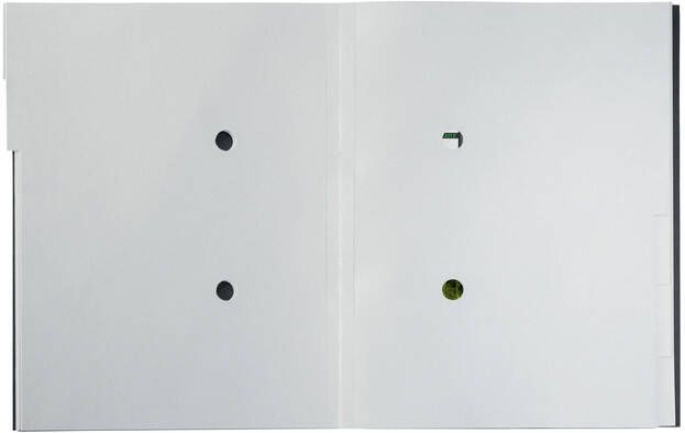 Leitz Recycle sorteermap karton ft A4 6 tabs zwart - Foto 2