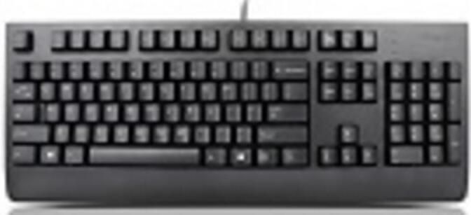 Lenovo 4X30M86889 toetsenbord Universeel USB QWERTY Nederlands Zwart