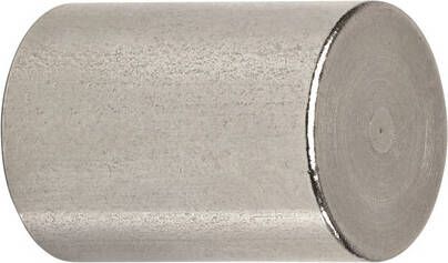 Maul Magneet Neodymium cilinder 20x25mm 13kg 2stuks - Foto 1