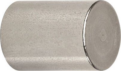 MAUL Magneet Neodymium cilinder 20x25mm 13kg 2 stuks