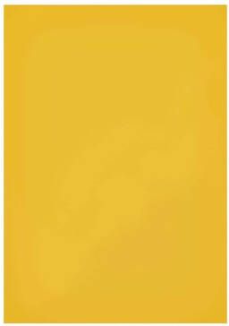 MAUL Magneetvel 200x300mm geel beschrijf- wisbaar en te knippen