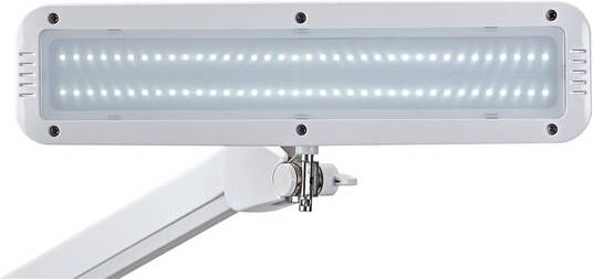 Maul werkpleklamp LED Intro met tafelklem dimbaar wit - Foto 2