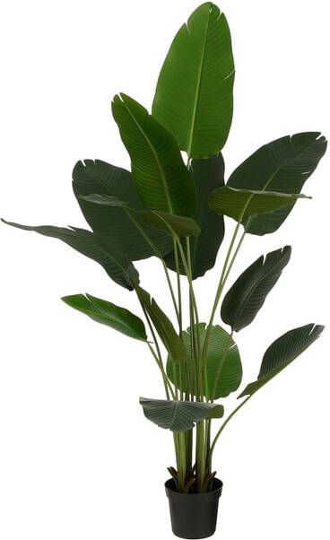 Mica Decorations Kunstplant Mica Bananen boom in plastic pot 180x30cm