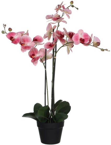 Mica Decorations Kunstplant Mica Phalaenopsis orchideeën roze in plastic pot 79x51cm