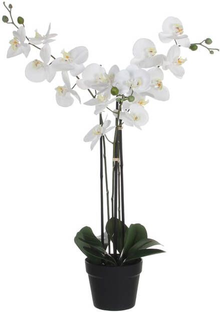 Mica Decorations Kunstplant Mica Phalaenopsis orchideeën wit in plastic pot 79x51cm