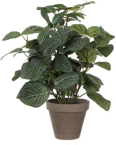 Mica Decorations Kunstplant Mica Pilea in potØ11 5cm 35x25cm