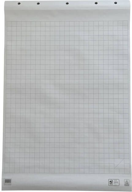 Work papierblok voor flipcharts geruit ft 65 x 98 cm blok van 50 vel
