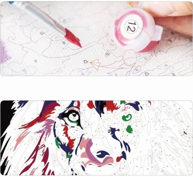 Office Schilderen op nummers poesjes - Foto 2