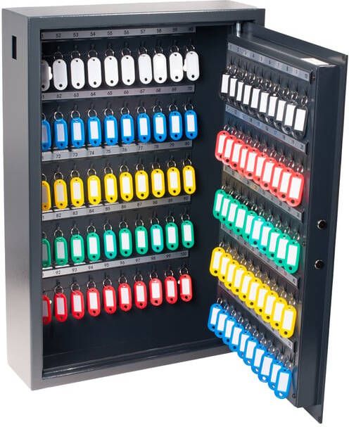 Pavo Sleutelkast High security advanced 100 haken 600x410x120mm