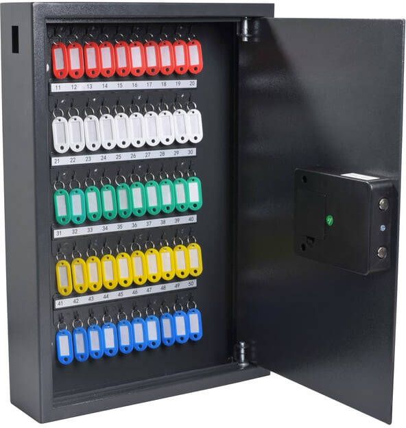 Pavo Sleutelkast High security advanced 50 haken 550x380x100mm