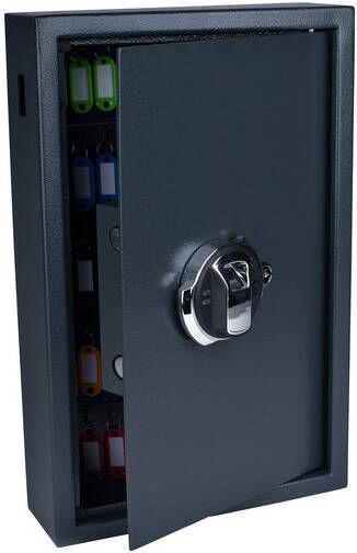 Pavo Sleutelkast high security met fingerprintslot 50 haken 550x400x100mm