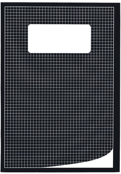 Qbasic Schrift A4 ruit 5mm 80blz 70gr assorti