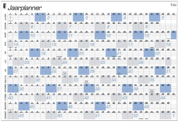 Quantore Jaarplankalender 2025 A1 84x57cm