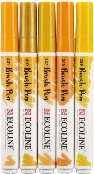 Talens Brushpen Ecoline set aarde blister à 5 stuks ass