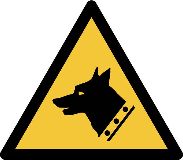 Djois Pictogram bordje Waarschuwing: waakhond 200 x 176 mm Geel