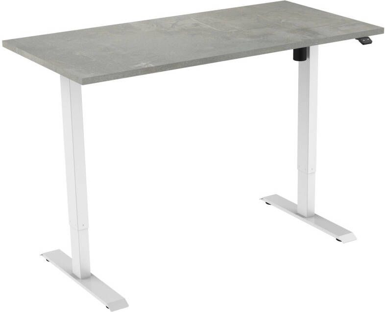 Tsherysh meubelen Elektrisch verstelbaar zit-sta bureau Tsherysh White Oxyd 100 x 80