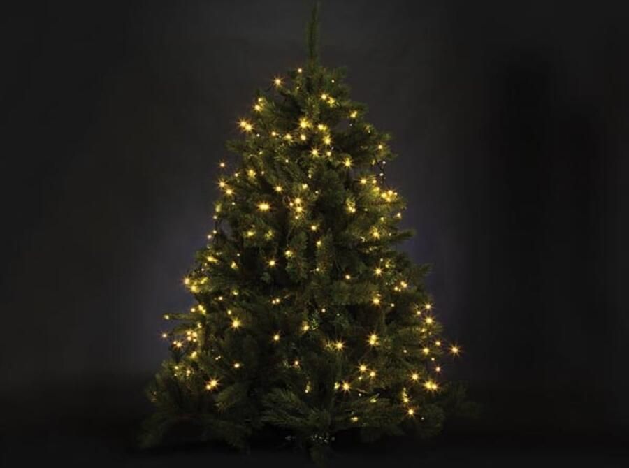 Velleman ATRIA LED voor bomen tot 2.4 m 330 leds warmwit groene kabel 24 V