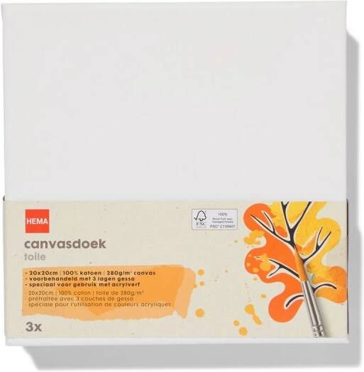 HEMA Canvasdoeken 280gsm 20x20 3 Stuks