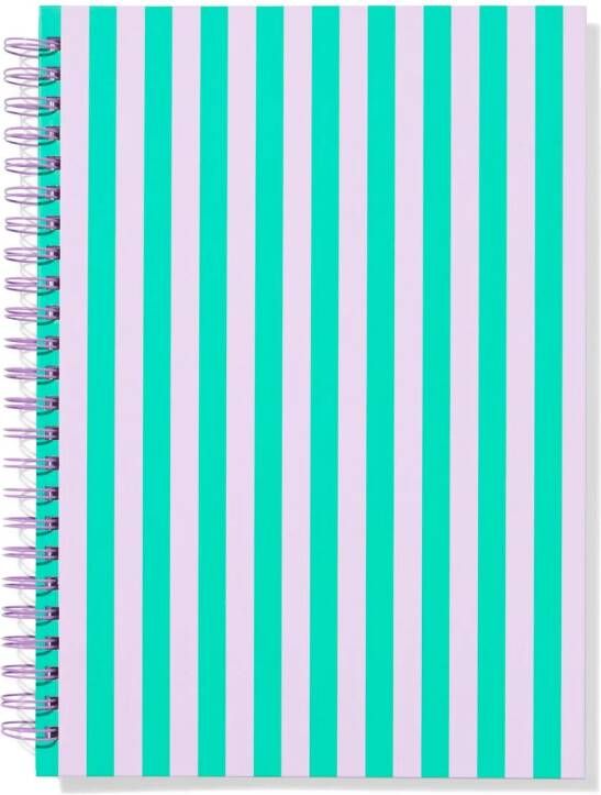 HEMA Hobbyplakboek A4 Strepen