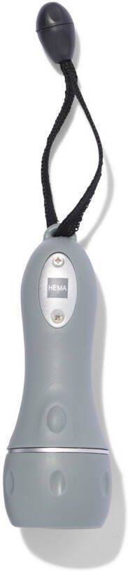 HEMA LED Zaklamp