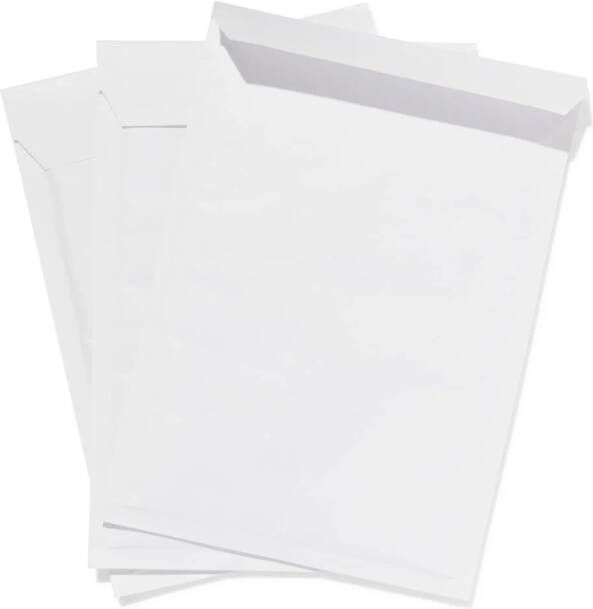 HEMA Luchtkussenenveloppen D14 3 Stuks
