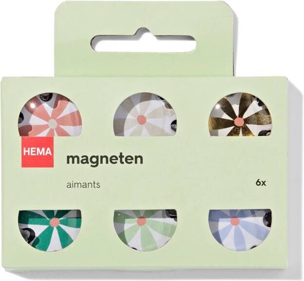 HEMA Magneten Glas Bloem 6 Stuks