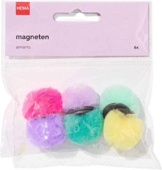 HEMA Magneten Pompon 6 Stuks
